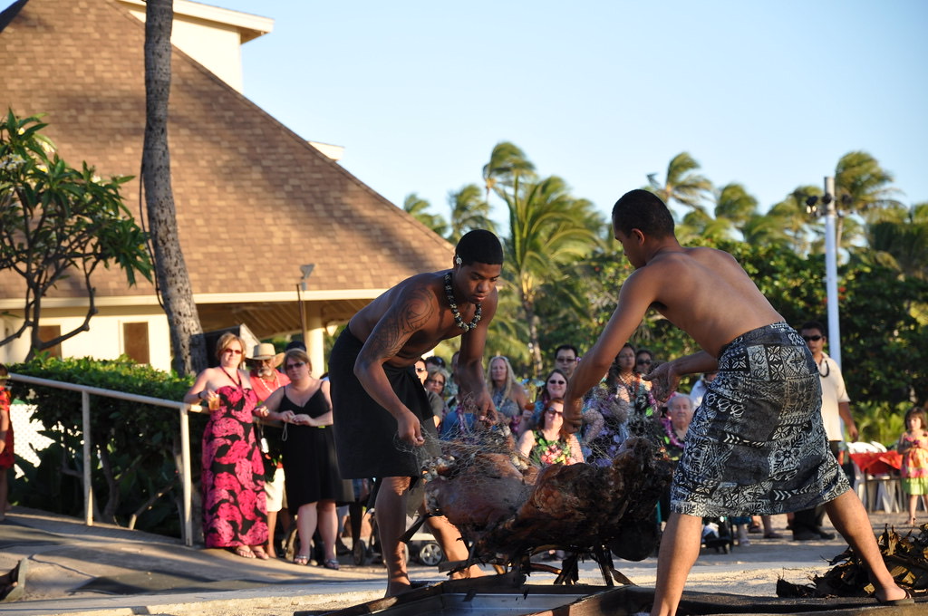 The pig being lifted from the pit in front of watching guests