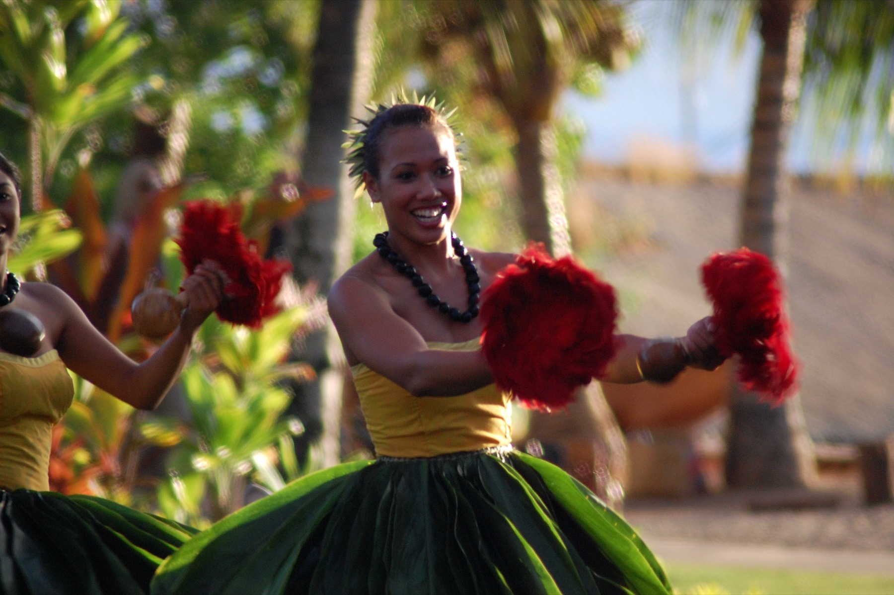 The lūʻau under way in the last of the evening light